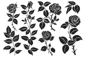 black slhoutte Set of rose with leaves Flower black silhoutte white background vector