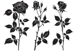 Set of three black silhouettes of rose flowers isolated on a white background. Minimalist hand drawn sketch. stock illustration vector