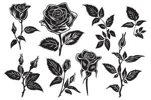 Beautiful rose flowers silhouette set isolated on white background vector