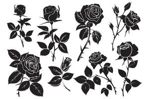 Beautiful rose flowers silhouette set isolated on white background vector