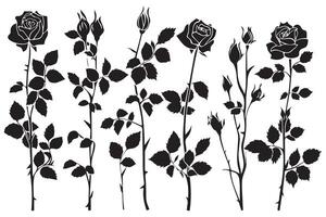 Set of black silhouettes of decorative fresh blossoming rose with steam and leaves. Hand drawn outline flower icon monochrome illustrations isolated on white background vector