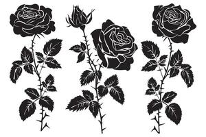 black slhoutte Set of rose with leaves Flower black silhoutte white background vector