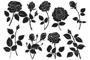 Rose silhouettes Black buds and stems of roses stencils isolated on white background vector