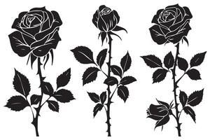Rose silhouettes Black buds and stems of roses stencils isolated on white background vector