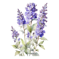 vattenfärg blommig blomma design, vattenfärg blomma arrangemang blommig, vattenfärg blomma design, blomma sublimering blommig ClipArt, ClipArt, bröllop dekoration png