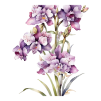 vattenfärg blommig blomma design, vattenfärg blomma arrangemang blommig, vattenfärg blomma design, blomma sublimering blommig ClipArt, ClipArt, bröllop dekoration png