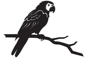 set of parrot silhouettes vector