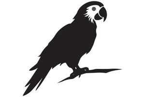parrot bird silhouette black vector