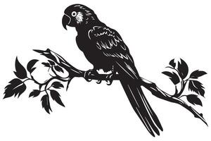 parrot bird silhouette black vector