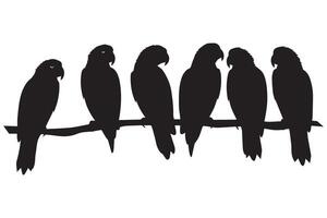 Set of silhouettes of parrots vector