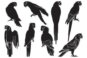 parrot bird silhouette black vector