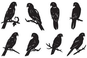 set of parrot silhouettes vector