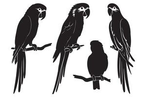 conjunto de siluetas de loros colección de tropical aves desde el Amazonas selva. Doméstico loro en un sentar en un stand.ilustracion en un blanco antecedentes vector
