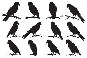 Set of silhouettes of parrots. Collection of tropical birds from the Amazon jungle. Domestic parrot on a sit on a stand.illustration on a white background vector