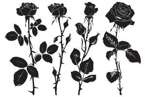 Rose silhouettes Black buds and stems of roses stencils isolated on white background vector