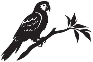 parrot silhouettes design vector