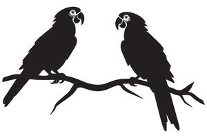 parrot silhouettes design vector