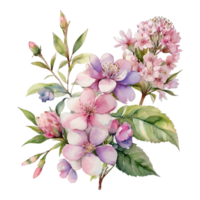 waterverf bloemen bloem ontwerp, waterverf bloem regelingen bloemen, waterverf bloem ontwerp, bloem sublimatie bloemen clip art, clip art, bruiloft decoratie png