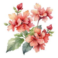 vattenfärg blommig blomma design, vattenfärg blomma arrangemang blommig, vattenfärg blomma design, blomma sublimering blommig ClipArt, ClipArt, bröllop dekoration png