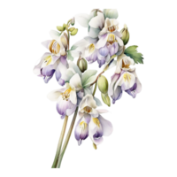 waterverf bloemen bloem ontwerp, waterverf bloem regelingen bloemen, waterverf bloem ontwerp, bloem sublimatie bloemen clip art, clip art, bruiloft decoratie png