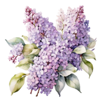 vattenfärg blommig blomma design, vattenfärg blomma arrangemang blommig, vattenfärg blomma design, blomma sublimering blommig ClipArt, ClipArt, bröllop dekoration png