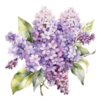 vattenfärg blommig blomma design, vattenfärg blomma arrangemang blommig, vattenfärg blomma design, blomma sublimering blommig ClipArt, ClipArt, bröllop dekoration png