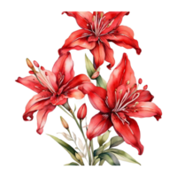 waterverf bloemen bloem ontwerp, waterverf bloem regelingen bloemen, waterverf bloem ontwerp, bloem sublimatie bloemen clip art, clip art, bruiloft decoratie png