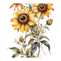 waterverf bloemen bloem ontwerp, waterverf bloem regelingen bloemen, waterverf bloem ontwerp, bloem sublimatie bloemen clip art, clip art, bruiloft decoratie png