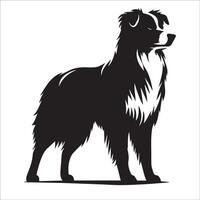 Australian Shepherd - An Australian Shepherd Dog Standing illustration in black and white vector