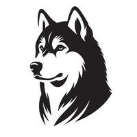 perro - un siberiano fornido perro digno cara ilustración en negro y blanco vector