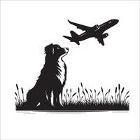 australiano pastor - un australiano pastor perro mirando un avión ilustración en negro y blanco vector
