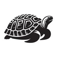 Turtle - a adult turtle illustrations in black and white vector