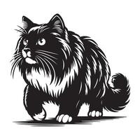 adventurous Ragdoll cat with alert illustration vector