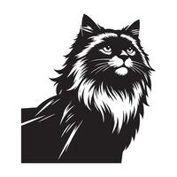 Heroic Ragdoll cat standing illustration in black and white vector