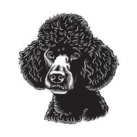 caniche perro - un Cortés caniche perro cara ilustración en negro y blanco vector