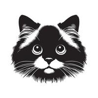 Ragdoll Cat - Innocent Ragdoll cat face illustration in black and white vector