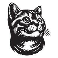 ilustración de un americano cabello corto gato con un juguetón expresión vector