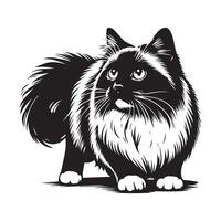 illustration of an adventurous Ragdoll cat with alert vector