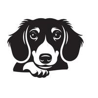 Dachshund Dog - A Dachshund Dog Relaxed face illustration in black and white vector
