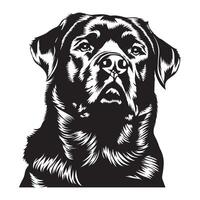 Rottweiler perro - un solemne Rottweiler perro cara ilustración en negro y blanco vector