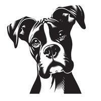 Boxer perro - un Boxer perro curioso cara ilustración en negro y blanco vector