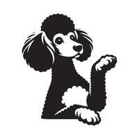 caniche perro - un impaciente caniche perro cara ilustración en negro y blanco vector