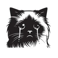Cat Face - Regretful Ragdoll cat face illustration in black and white vector