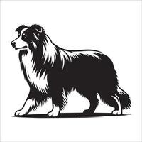 australiano pastor - un australiano pastor perro en pie ilustración en negro y blanco vector
