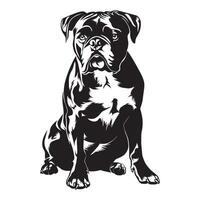 Boxer Dog - A Protective Boxer Dog illustration in black and white vector