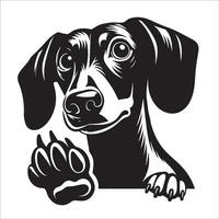 Dachshund Dog - A Dachshund Dog Impatient face illustration in black and white vector