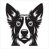 australiano pastor perro - un australiano pastor perro temeroso cara ilustración en negro y blanco vector