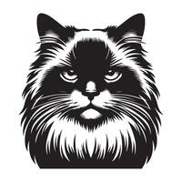 Cat Clipart - Stern Ragdoll cat face illustration on a white background vector