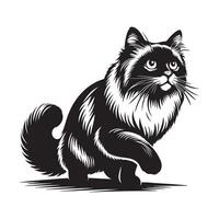 Ragdoll Cat - adventurous Ragdoll cat illustration in black and white vector