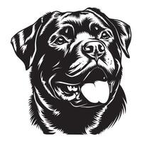 Rottweiler perro - un Cortés Rottweiler perro cara ilustración en negro y blanco vector